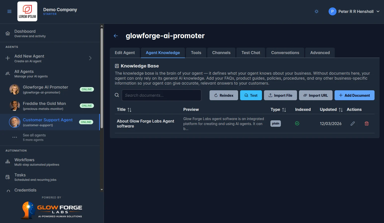 An agent's knowledge base: the documents it answers from, indexed and searchable, with files and web pages imported straight in and a test button for trying a question against them.
