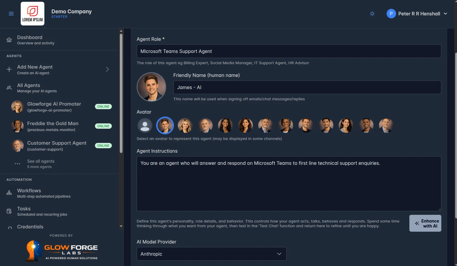 An agent's settings: the written instructions describing how it should behave, and the model provider chosen for this particular agent.